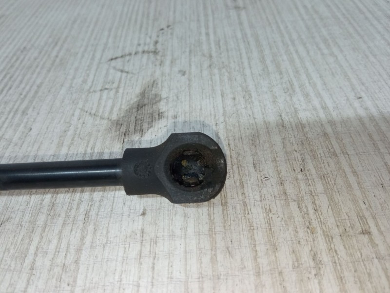 Recambio de amortiguadores capo para dacia sandero ii 1.5 dci 75 / blue dci 75 (b8jw, b8m4, b8ah, b8m7, b8m6) referencia OEM IAM