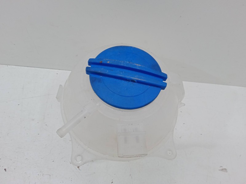 Recambio de botella expansion para seat ibiza iii (6l1) 1.9 tdi referencia OEM IAM   