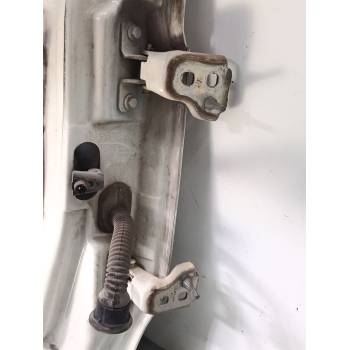 PUERTA DELANTERA IZQUIERDA 