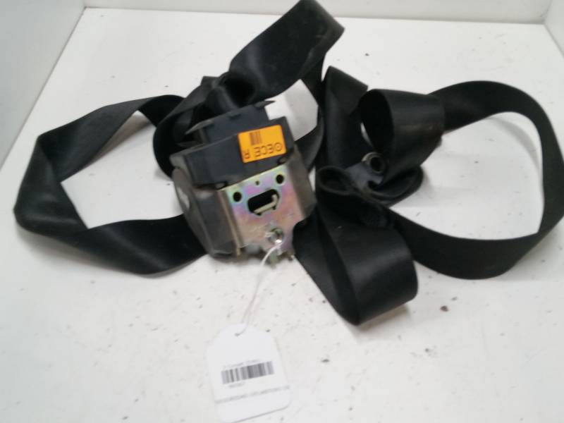 CINTURON SEGURIDAD DELANTERO DERECHO 560493801 