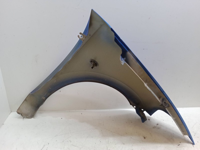 Recambio de aleta delantera izquierda para citroën c3 i (fc_, fn_) 1.1 i referencia OEM IAM   