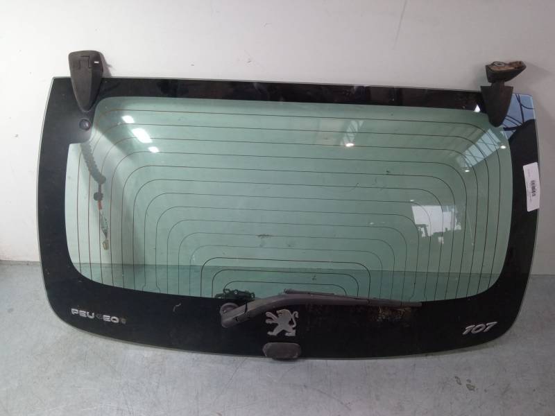 PORTON TRASERO 