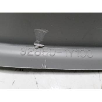 LUZ INTERIOR DELANTERA 928501Y100 