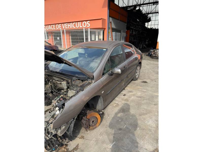 PEUGEOT 407 (6D_)