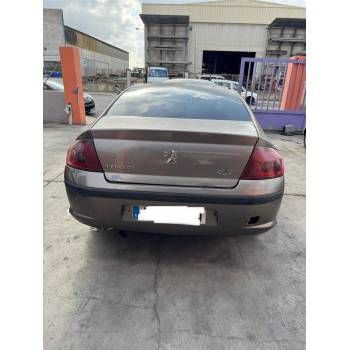 PEUGEOT 407 (6D_)