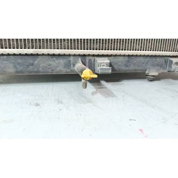 RADIADOR AGUA 164000Y260 