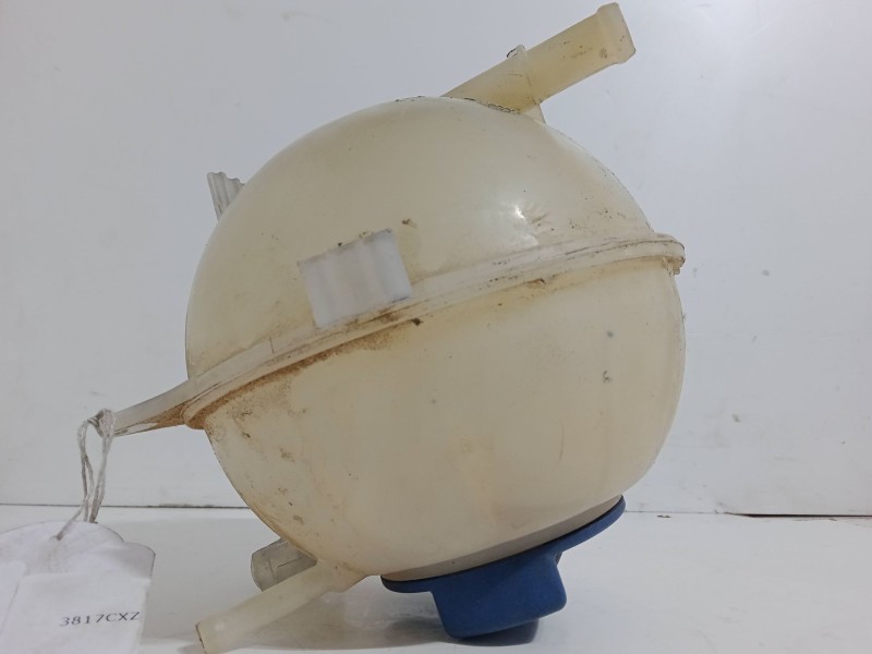 Recambio de botella expansion para seat ibiza iii (6l1) 1.4 16v referencia OEM IAM   