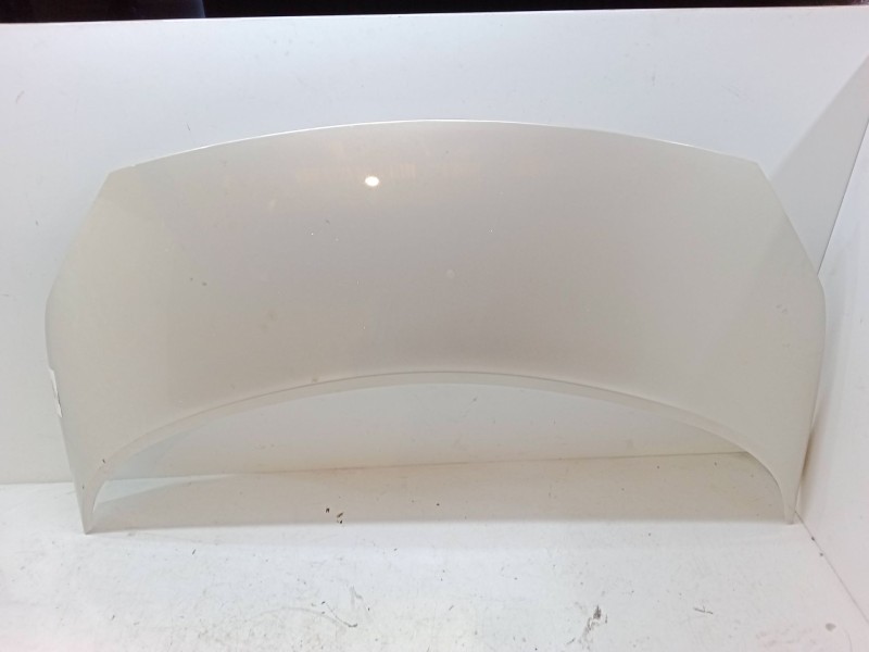 Recambio de capo para renault scénic ii (jm0/1_) 1.6 16v (jm1r) referencia OEM IAM   