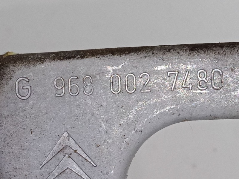 Recambio de elevalunas trasero izquierdo para citroën c3 i (fc_, fn_) 1.4 i referencia OEM IAM G9680027480  