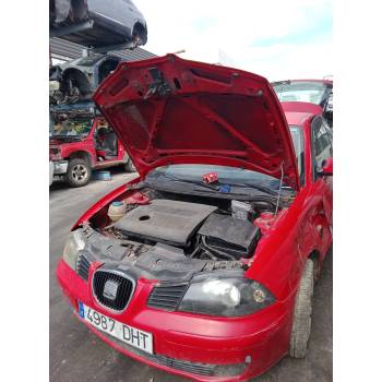 SEAT IBIZA III (6L1)