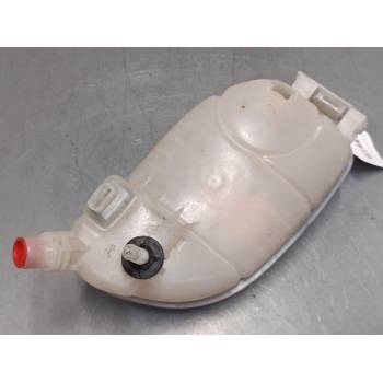 BOTELLA EXPANSION A2465000049 
