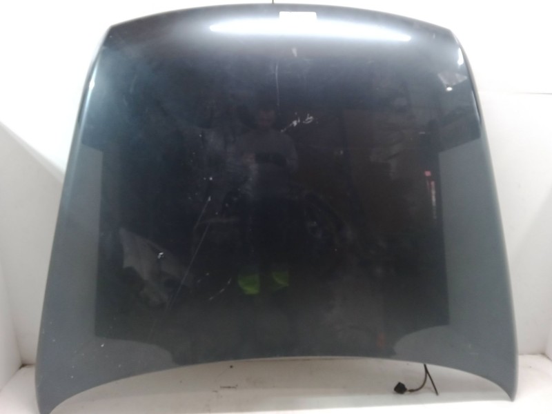 Recambio de capo para volkswagen touareg (7la, 7l6, 7l7) 2.5 r5 tdi referencia OEM IAM    Recambio de capo para volkswagen touareg (7la, 7l6, 7l7) 2.5 r5 tdi referencia OEM IAM