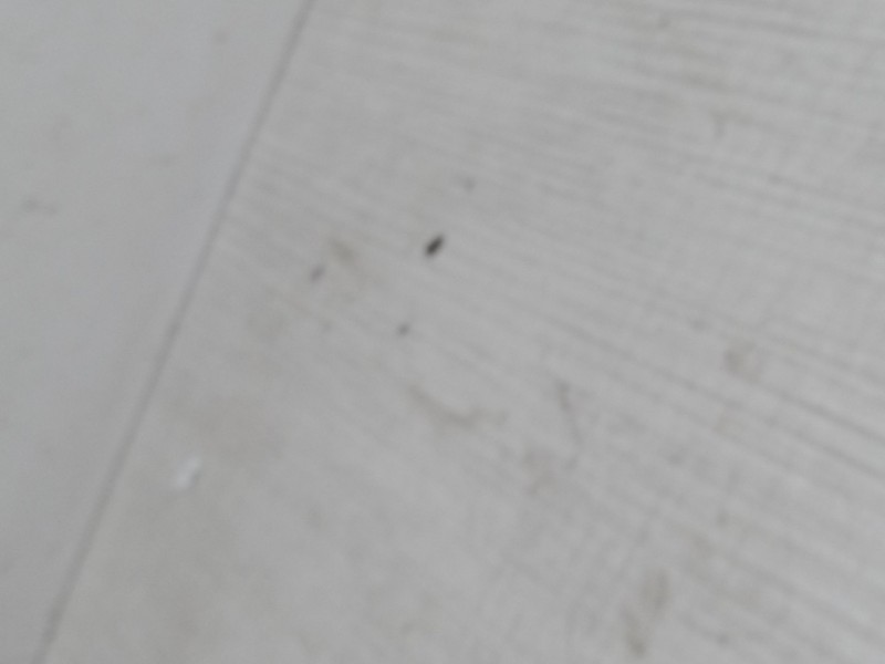 Recambio de piloto trasero izquierdo para renault clio i (b/c57_, 5/357_) 1.4 referencia OEM IAM   