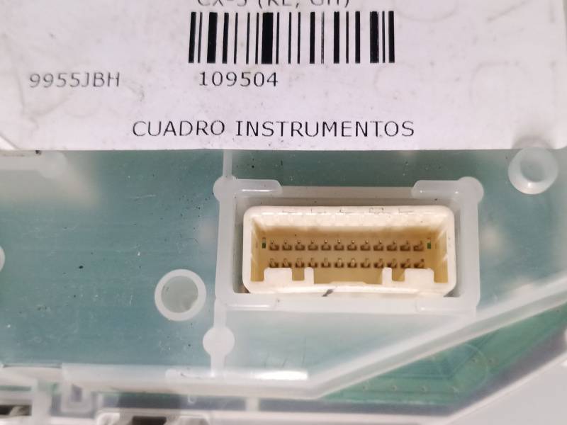 CUADRO INSTRUMENTOS CNKS01D 