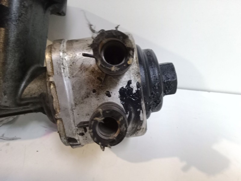 Recambio de enfriador aceite motor para audi a4 b5 avant (8d5) 1.9 tdi referencia OEM IAM   