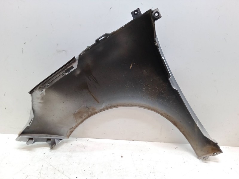 Recambio de aleta delantera derecha para renault scénic iii (jz0/1_) 1.6 16v (jz0u, jz1b) referencia OEM IAM   