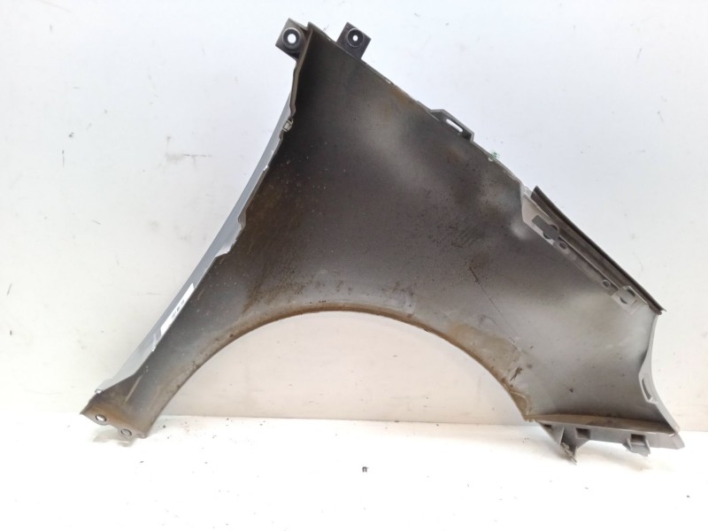 Recambio de aleta delantera izquierda para renault scénic iii (jz0/1_) 1.6 16v (jz0u, jz1b) referencia OEM IAM   