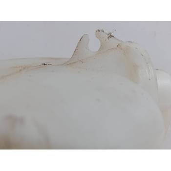 BOTELLA LIQUIDO LIMPIAPARABRISAS 