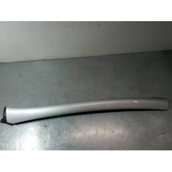 MOLDURA EXTERIOR IZQUIERDA 