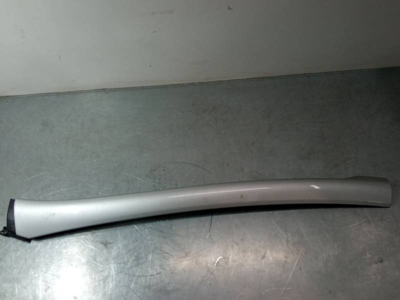 MOLDURA EXTERIOR IZQUIERDA 