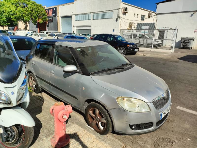 SKODA FABIA II (542)