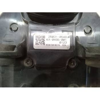 CUADRO INSTRUMENTOS 250310901 