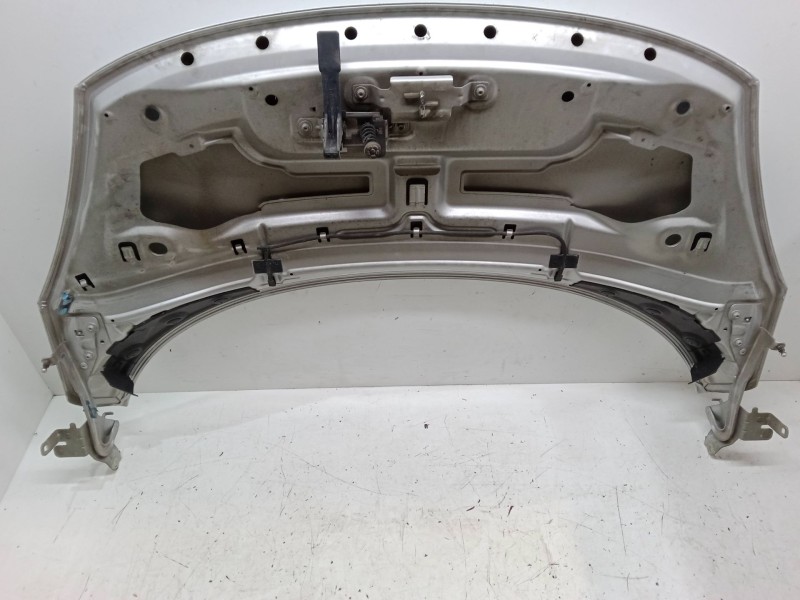 Recambio de capo para renault scénic iii (jz0/1_) 1.6 16v (jz0u, jz1b) referencia OEM IAM   