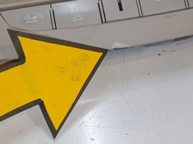 Recambio de luz interior delantera para nissan leaf (ze0) electric referencia OEM IAM   