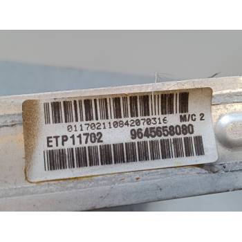 RADIADOR AGUA 9645658080 
