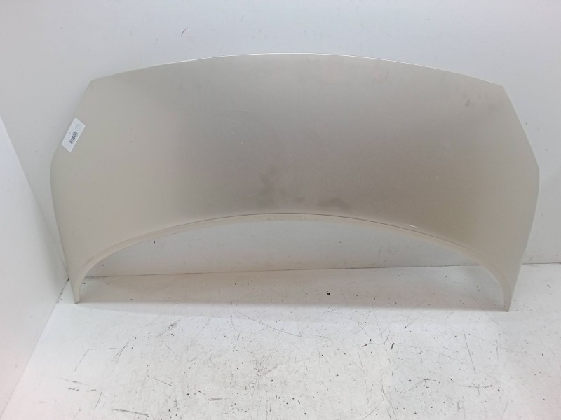 Recambio de capo para renault scénic ii (jm0/1_) 1.6 16v (jm1r) referencia OEM IAM   