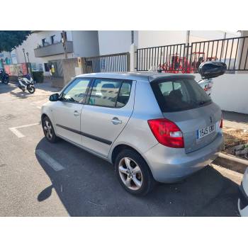 SKODA FABIA II (542)