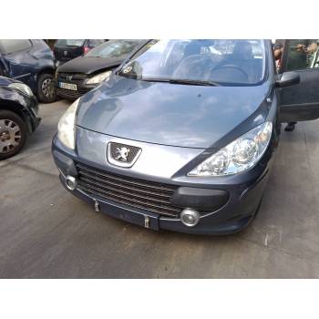 PEUGEOT 307 (3A/C)