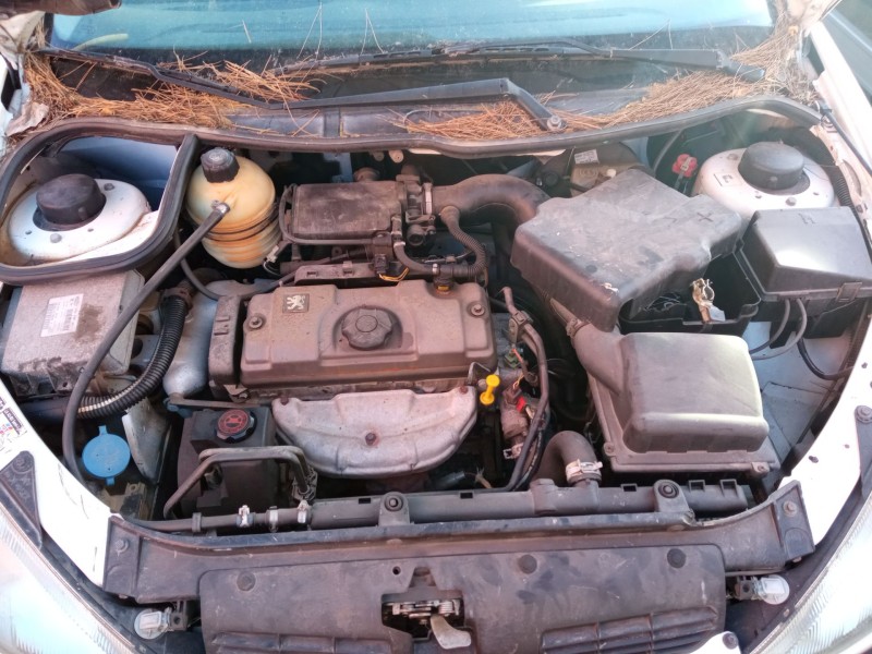 peugeot 206 hatchback (2a/c) del año 1999 peugeot 206 hatchback (2a/c) del año 1999