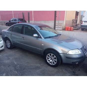 VOLKSWAGEN PASSAT B5.5 (3B3)