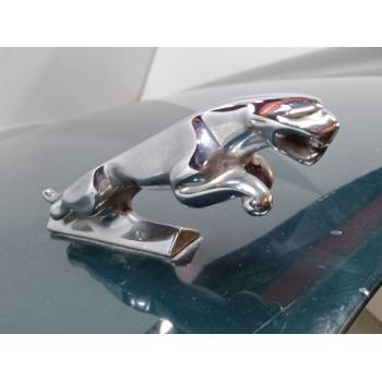 CAPO XR833820 