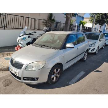 SKODA FABIA II (542)