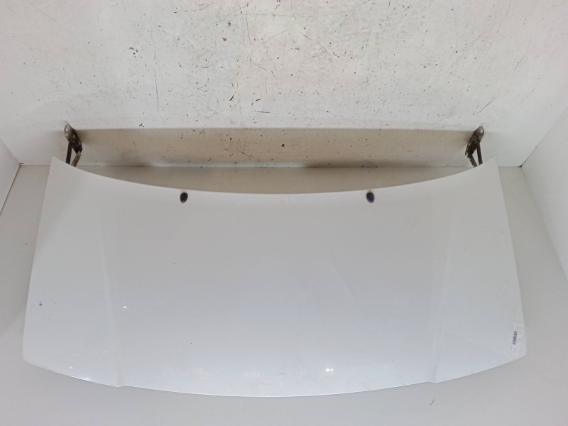 Recambio de capo para citroën jumpy i furgoneta (bs_, bt_, by_, bz_) 1.9 d 70 referencia OEM IAM   