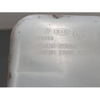BOTELLA EXPANSION 254302S050 